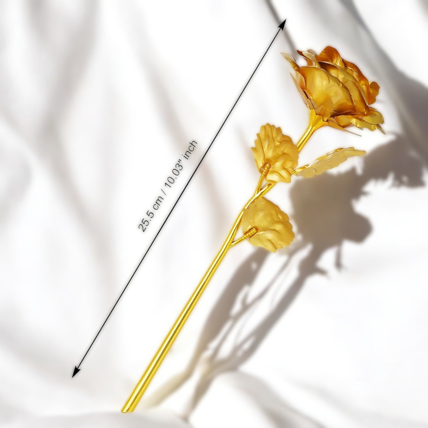 Golden Rose